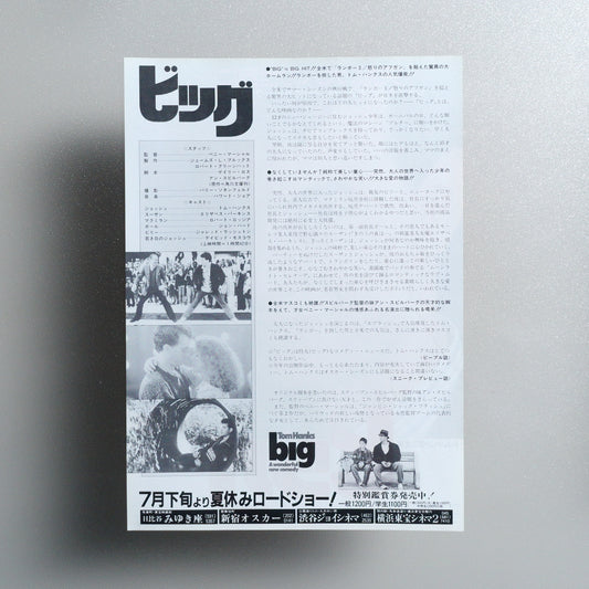 Big 1988 B5 Flyer - reverse