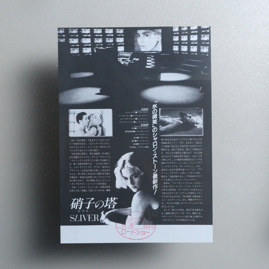 Sliver 1993 B5 Flyer - reverse
