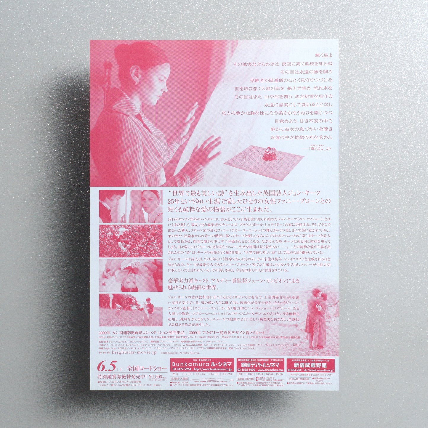 Bright Star Japanese B5 Flyer - reverse