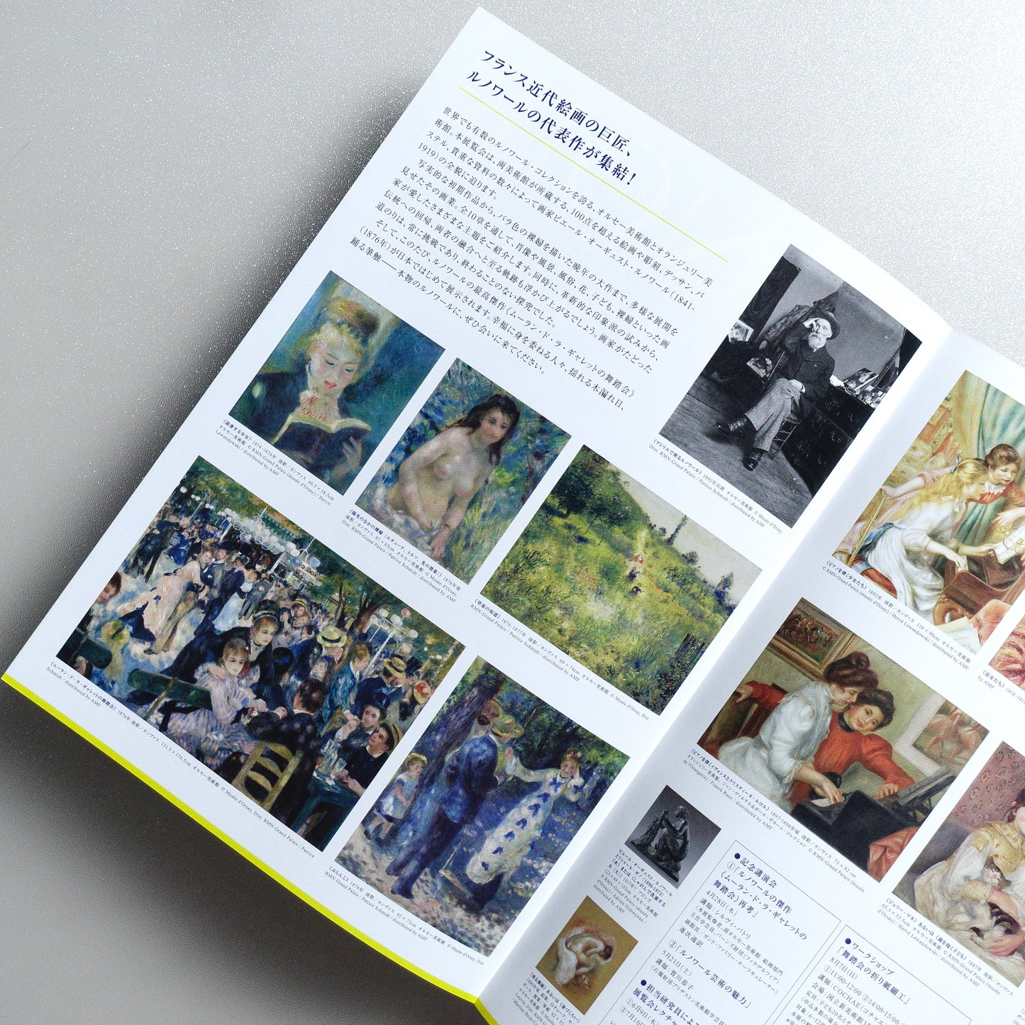 Renoir Exhibition A4 Exhibition Flyer - detail