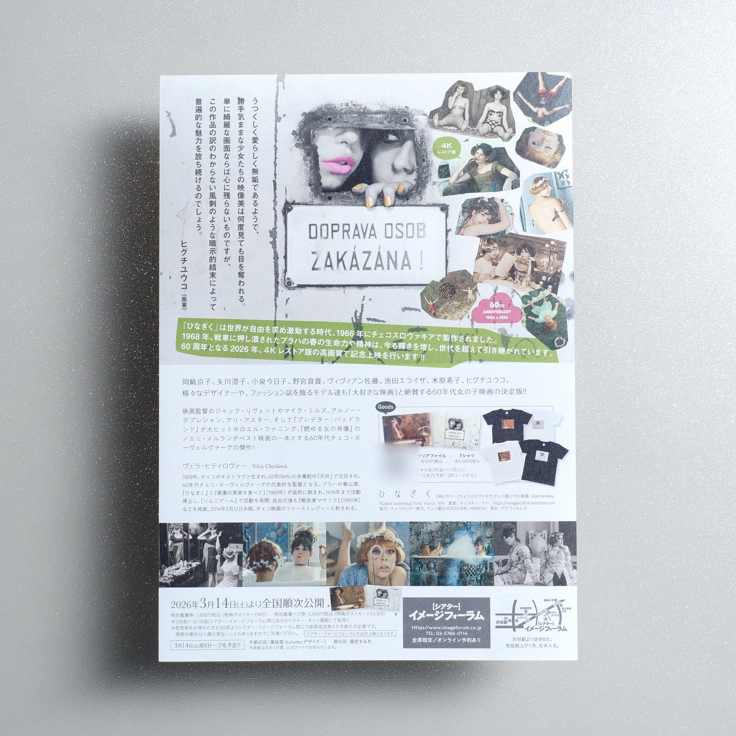 Daisies 4K Restoration B5 Flyer - Design C - reverse