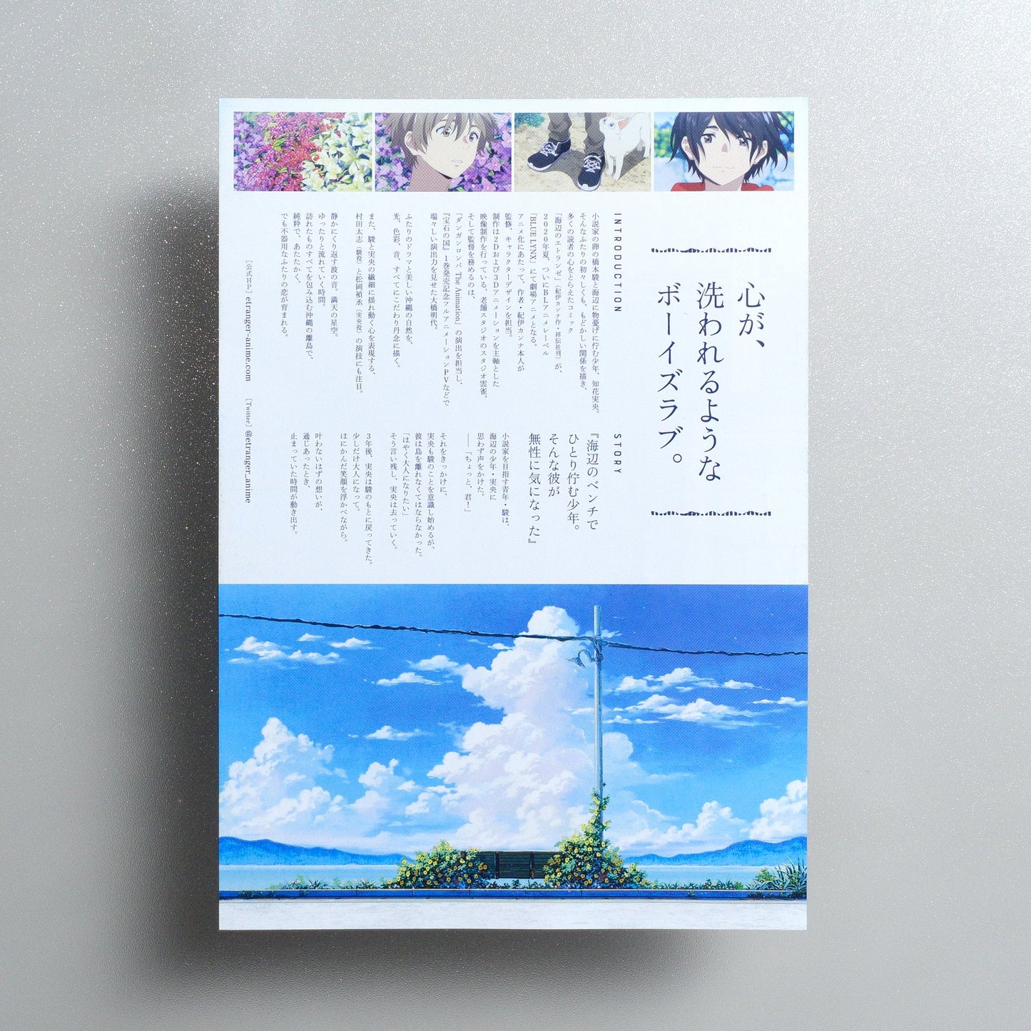 The Stranger by the Beach 2020 Japanese B5 Movie Flyer - reverse