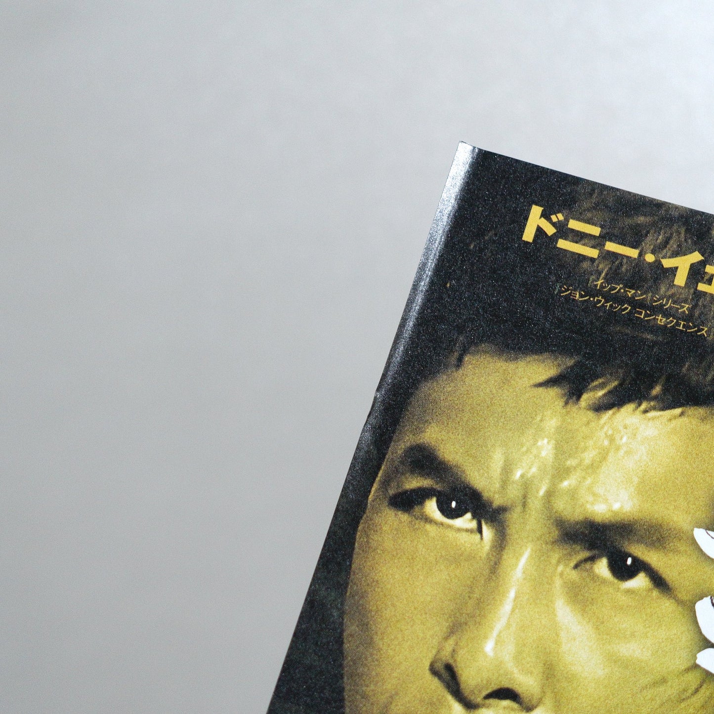Flash Point 2025 Japanese B5 Movie Flyer - side C