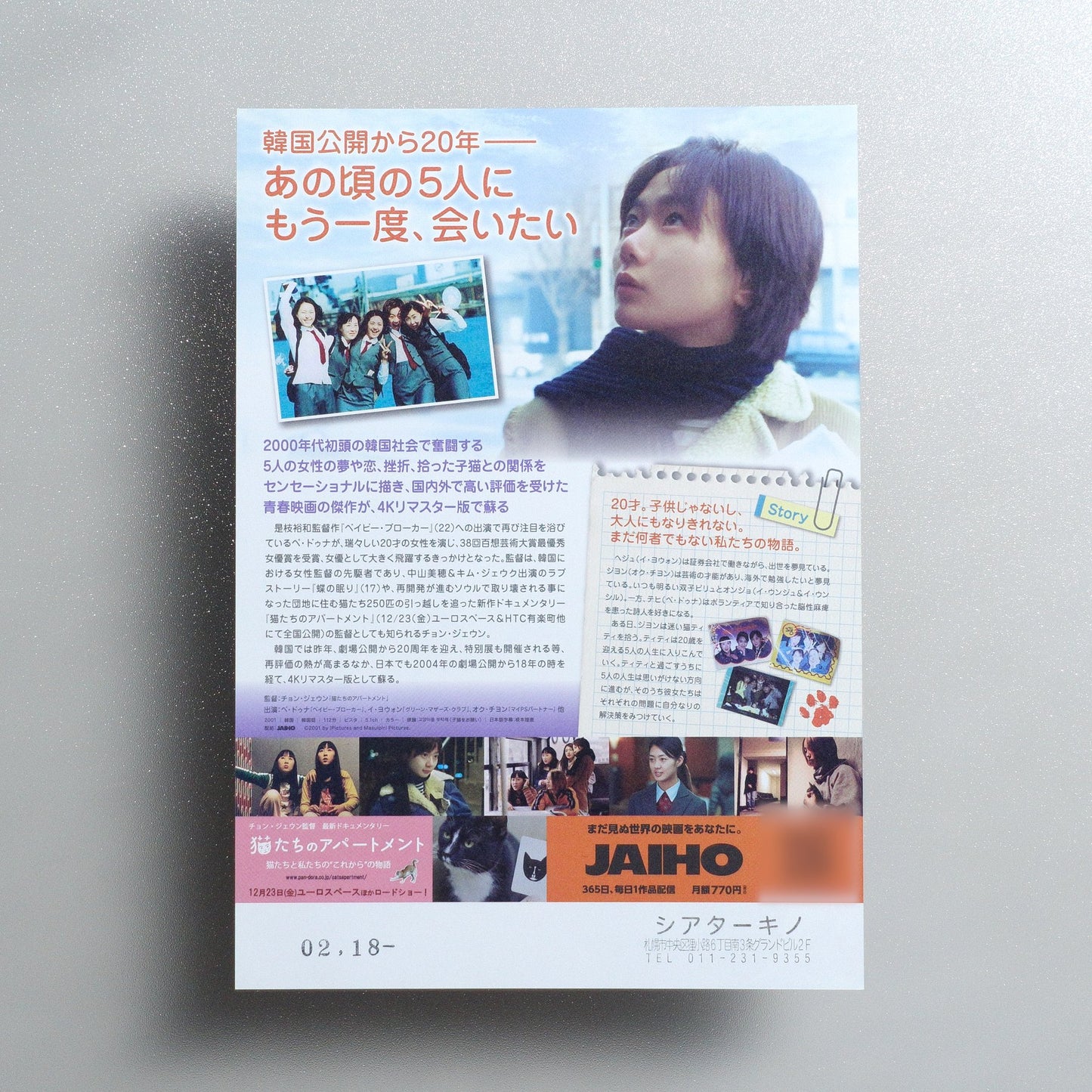 Take Care of My Cat 2022 Japanese B5 Movie Flyer - reverse