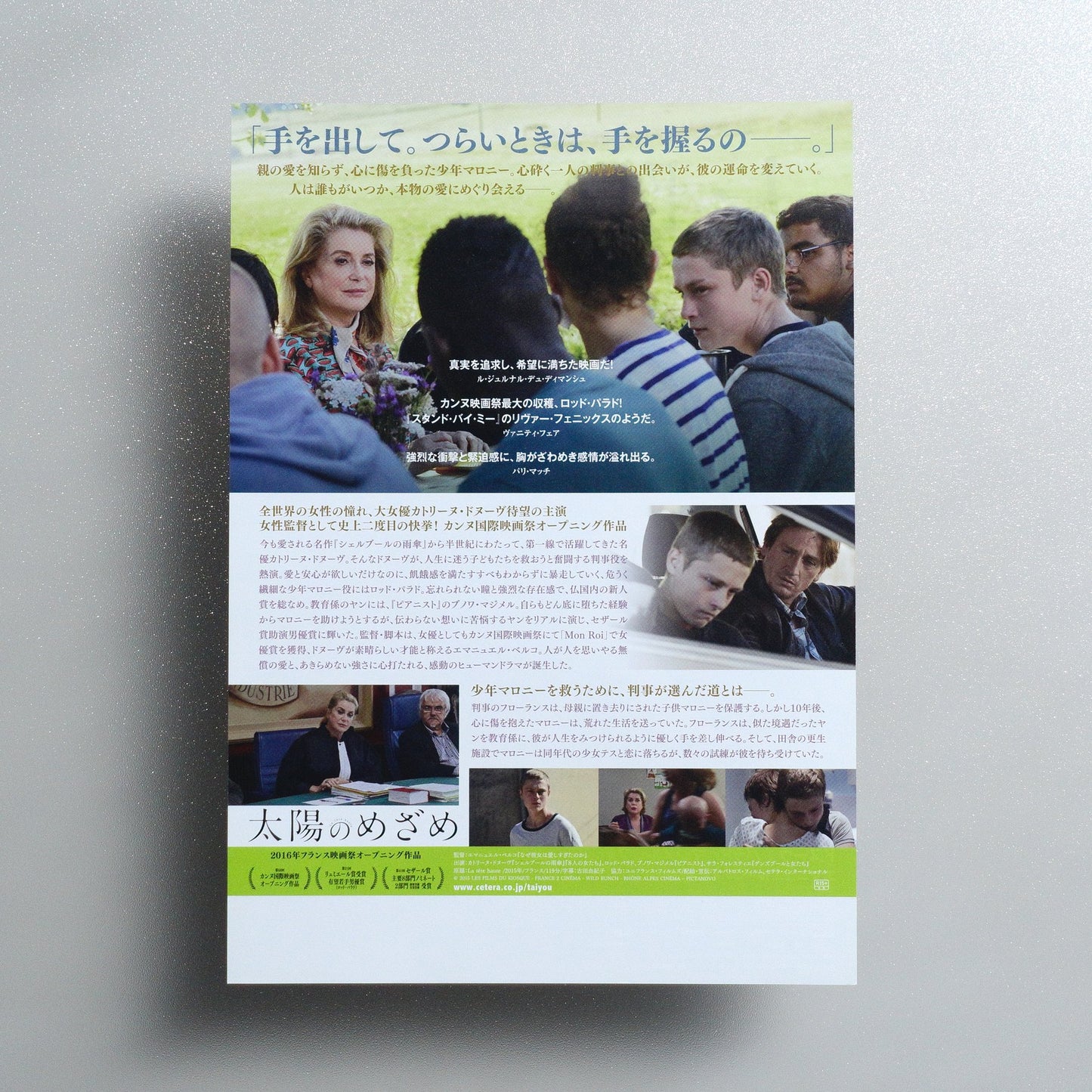 Standing Tall 2016 Japanese B5 Movie Flyer - reverse