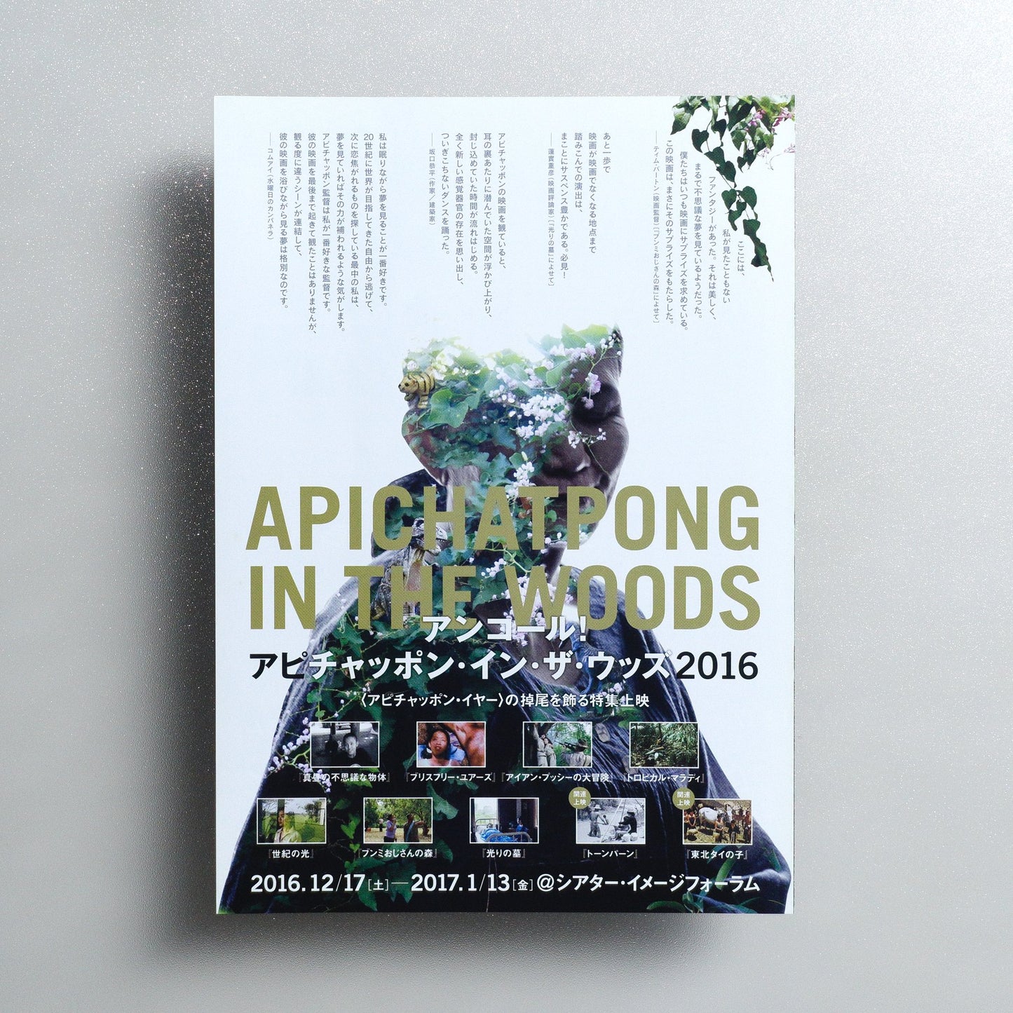 Apichatpong in the Woods 2016 Encore 2016 Japanese B5 Folded Flyer - reverse