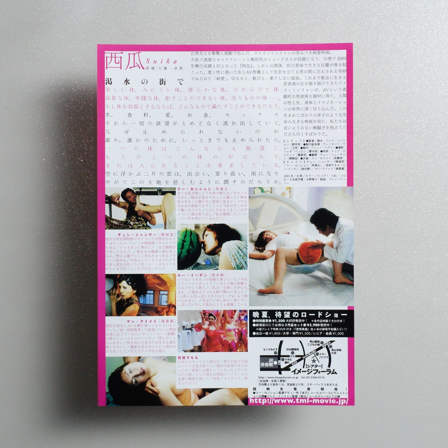 The Wayward Cloud 2006 Japanese B5 Movie Flyer - reverse
