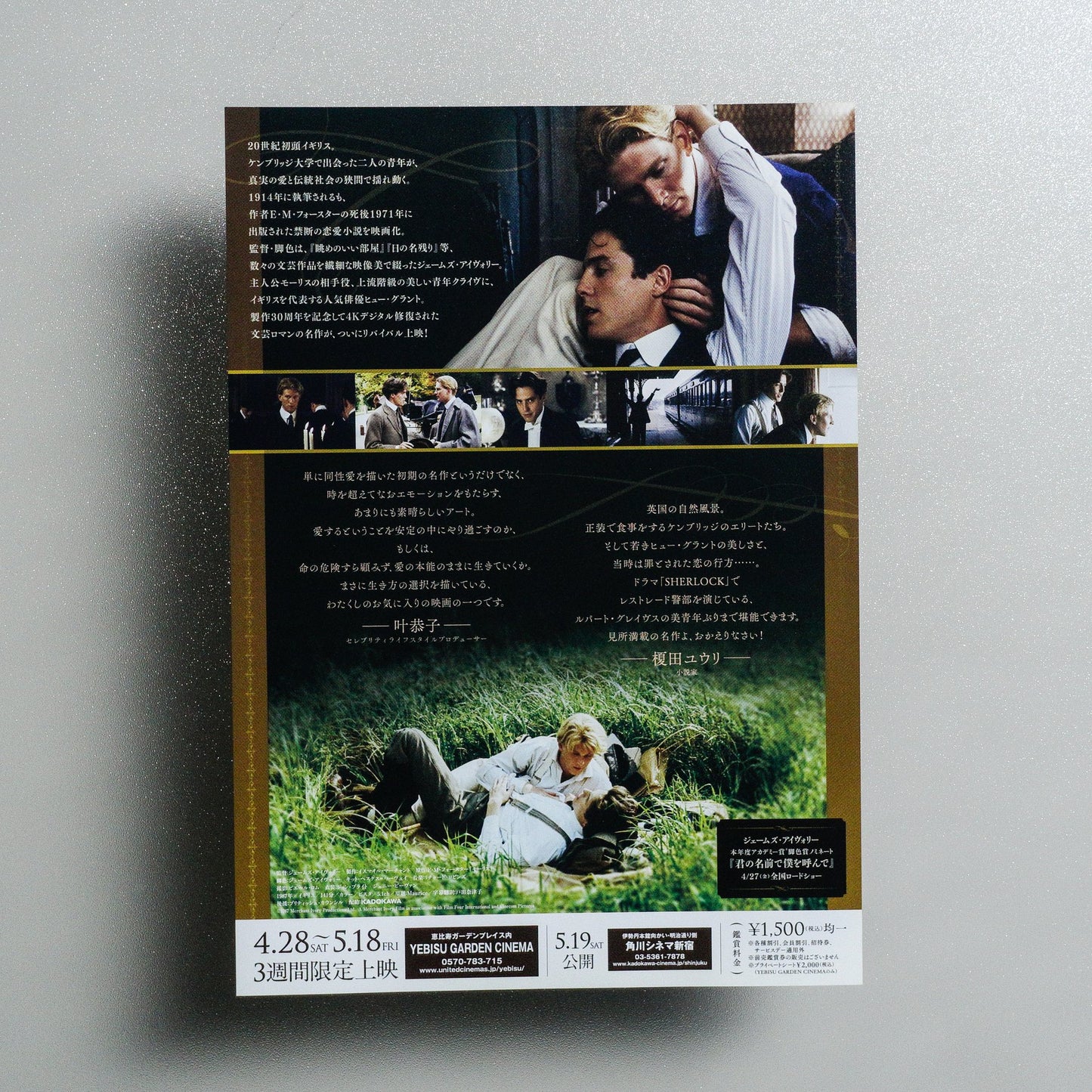 Maurice 2018 Japanese B5 Movie Flyer - reverse