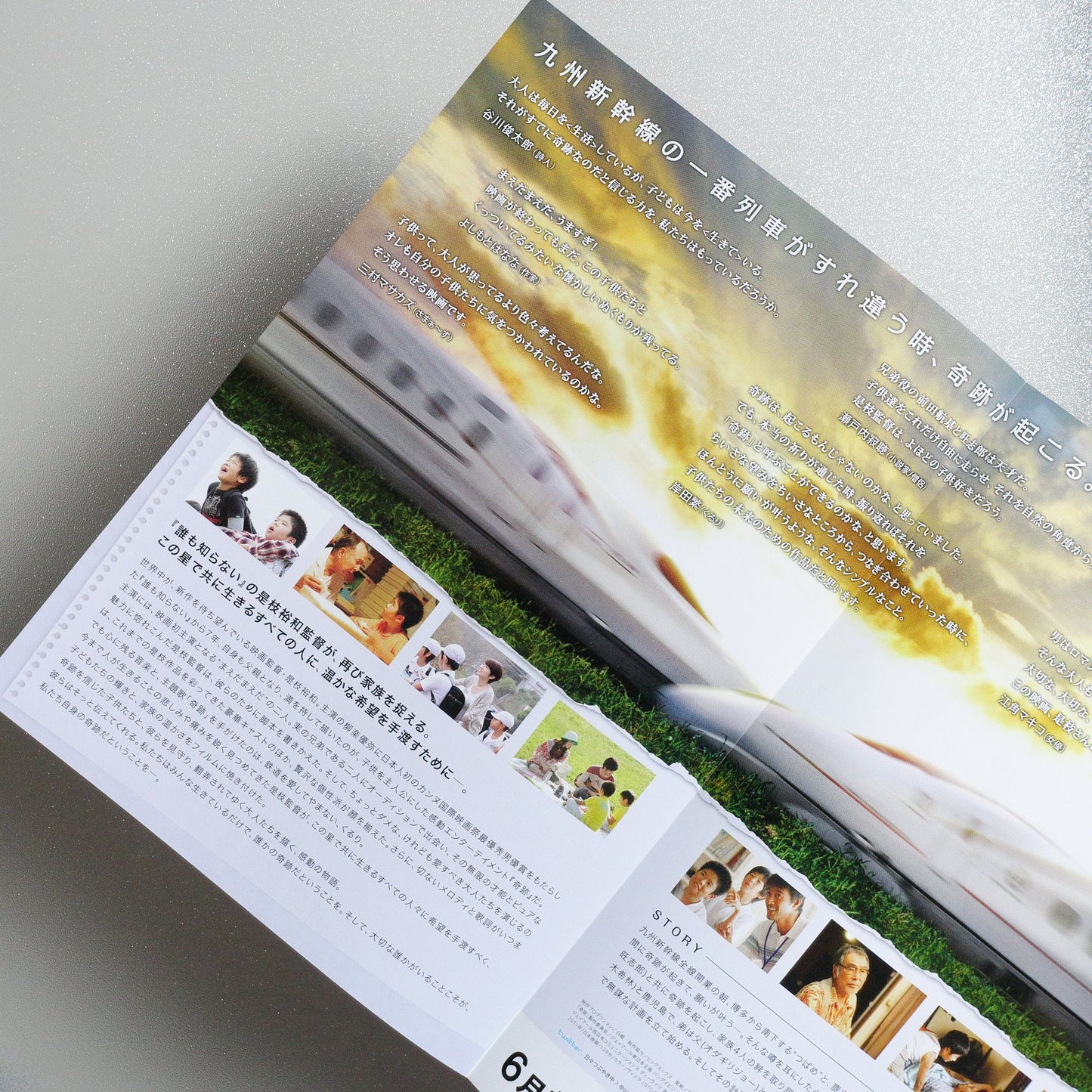 I Wish 2011 Japanese B5 Folded Flyer - side C