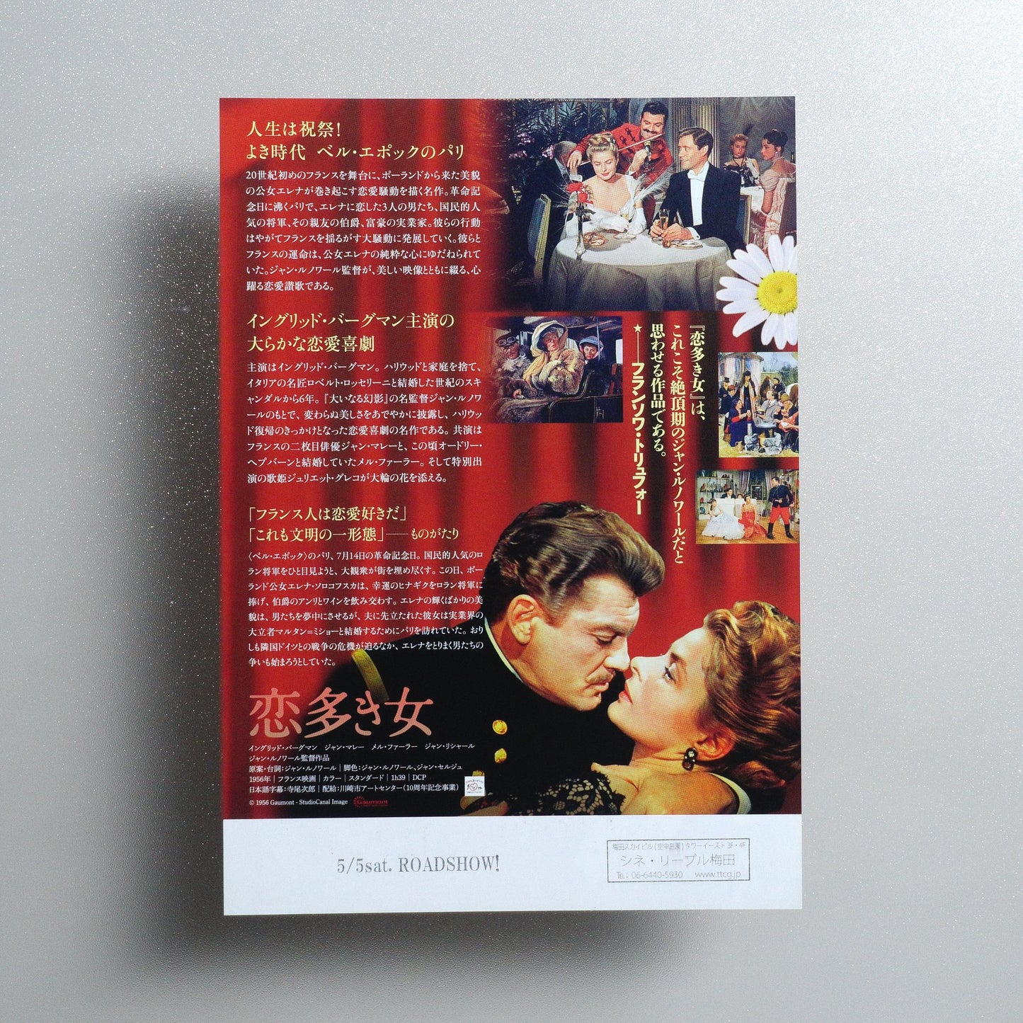 Elena and Her Men 2018 Japanese B5 Movie Flyer - reverse