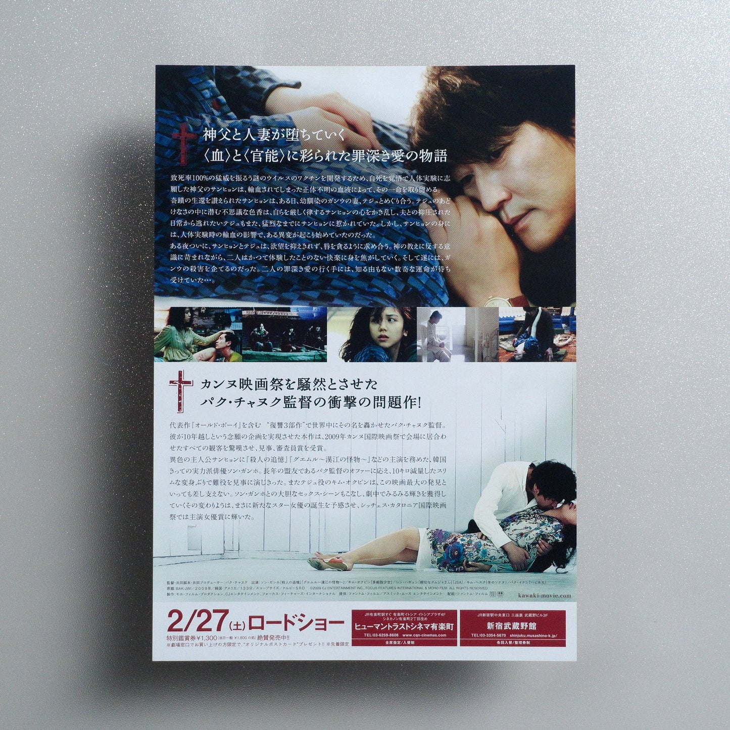 Thirst 2009 Japanese B5 Movie Flyer - reverse