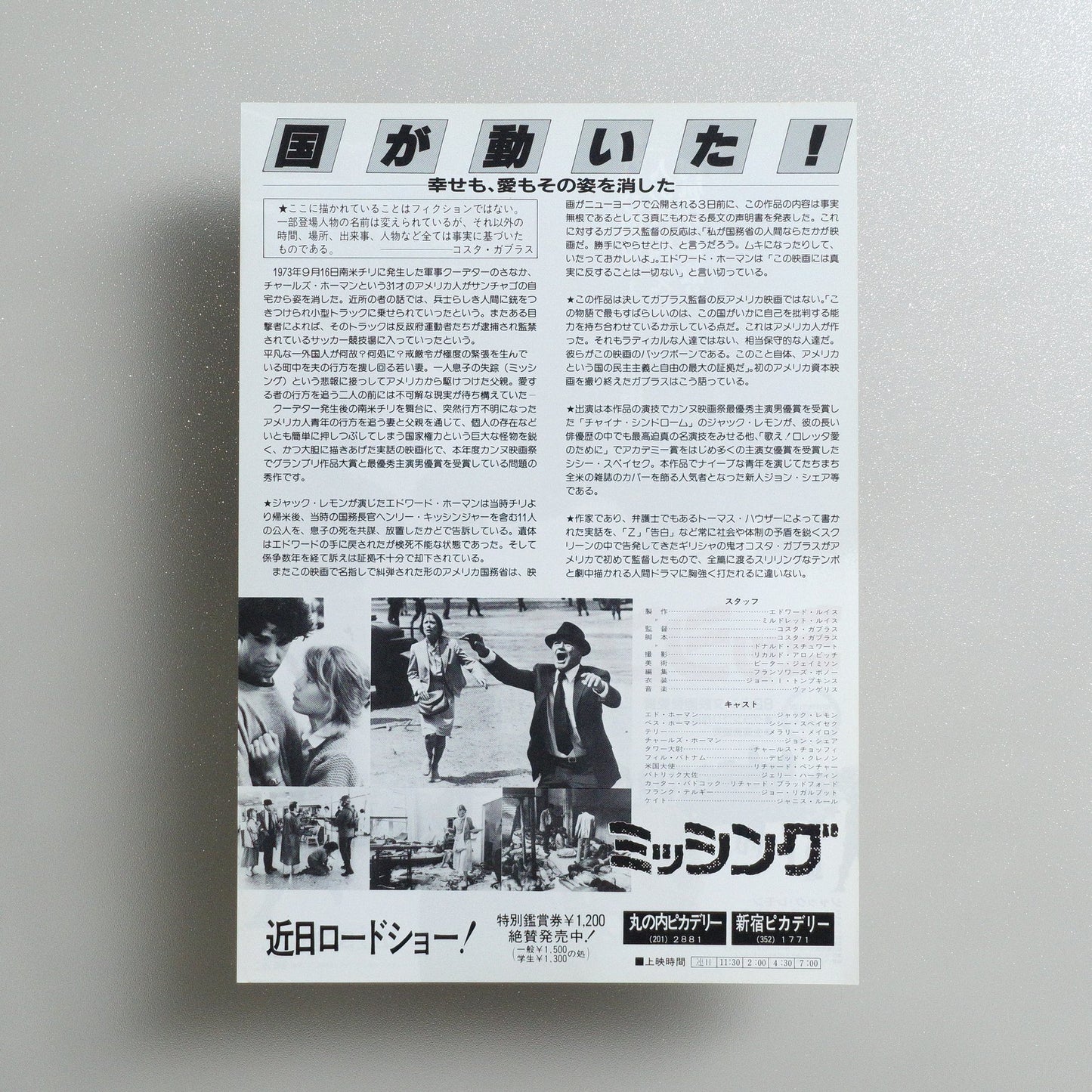 Missing 1982 Japanese B5 Screening Flyer - reverse