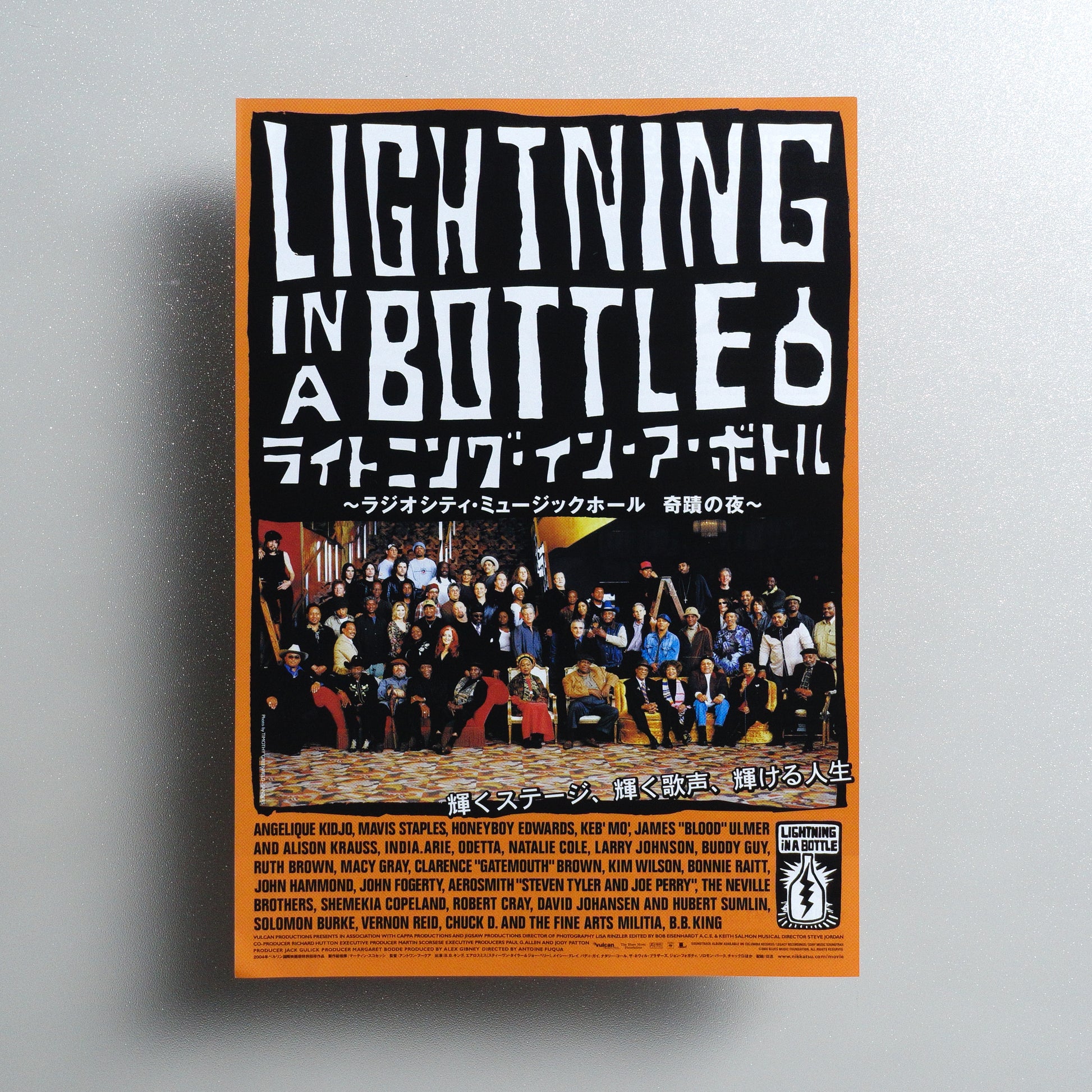 Lightning in a Bottle B5 Flyer - front