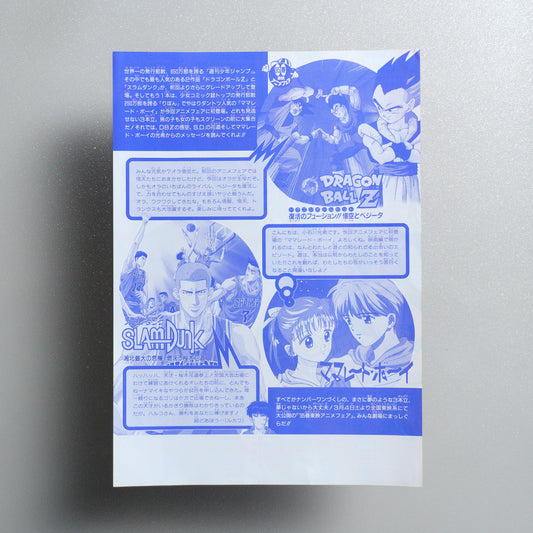 1995 Toei Anime Fair Dragon Ball Z Slam Dunk Marmalade Boy Japanese B5 Flyer - reverse