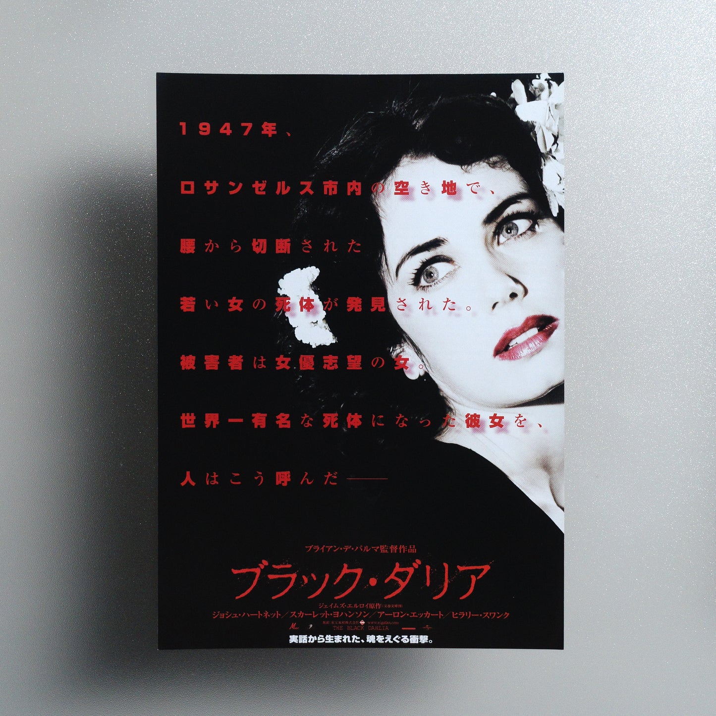 The Black Dahlia 2006 B5 Flyer - front