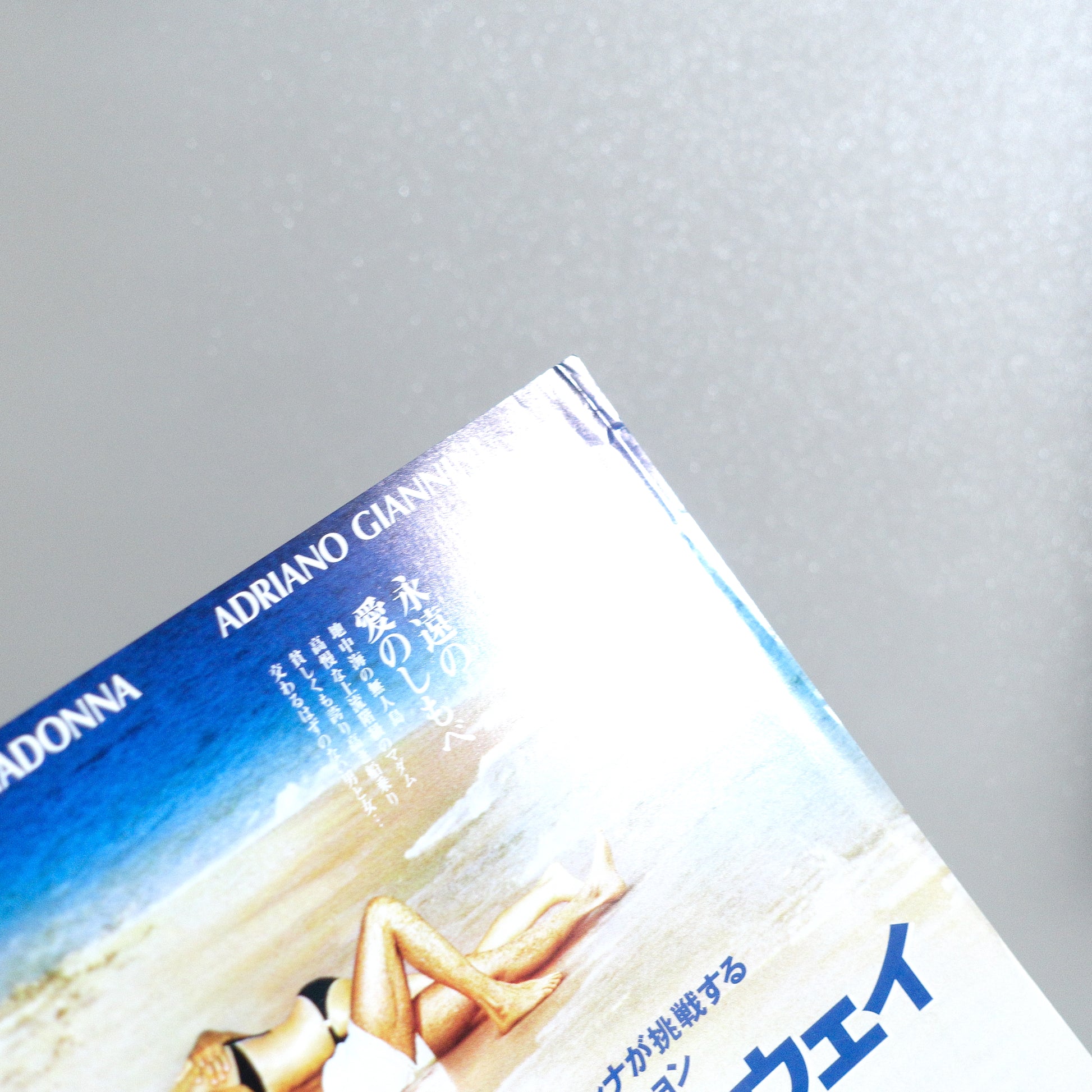 Swept Away 2003 B5 Flyer - condition detail