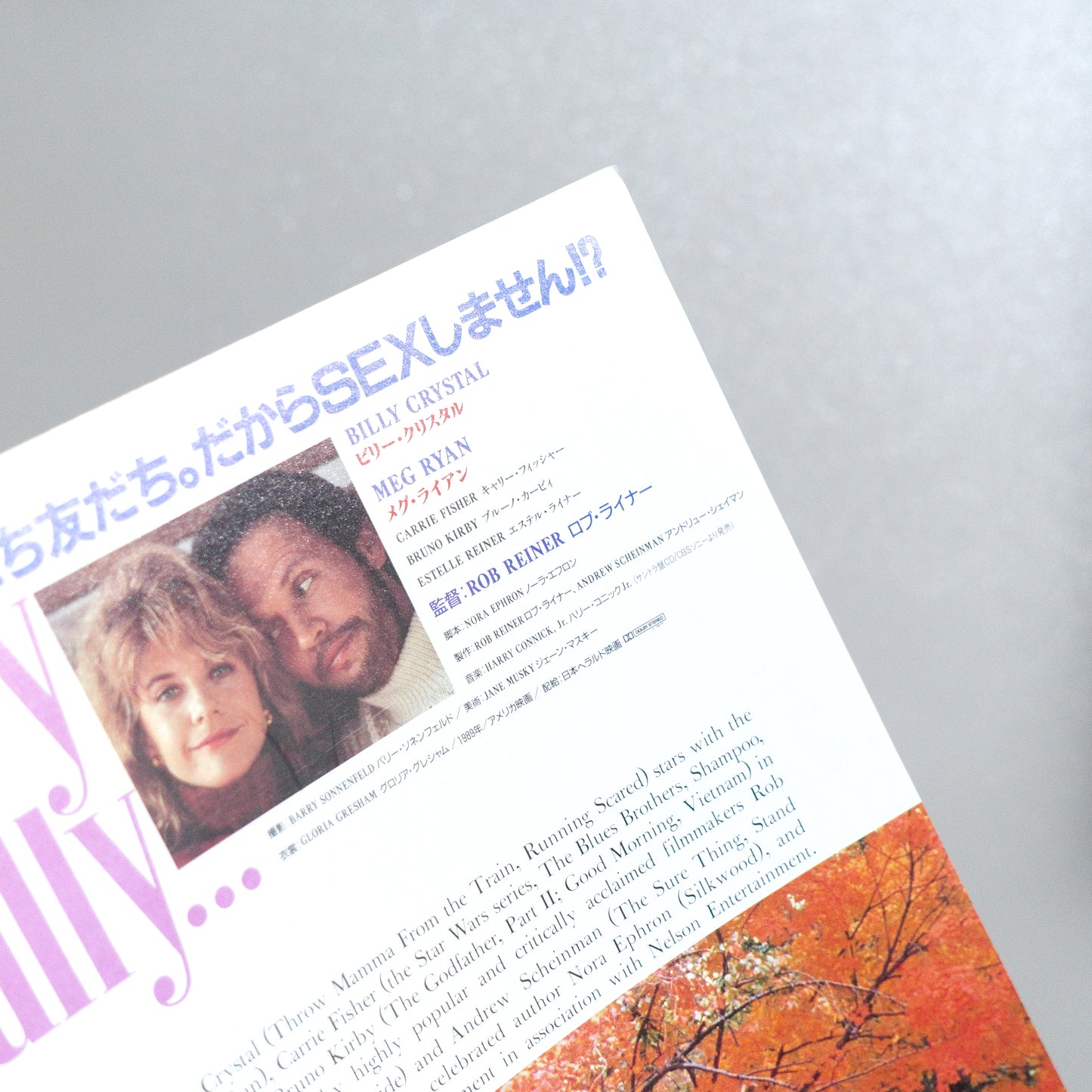 When Harry Met Sally... 1990 B5 Flyer - condition detail