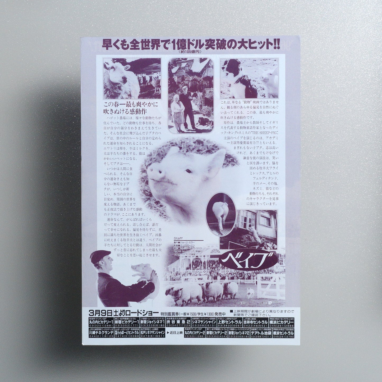 Babe B5 Flyer - reverse