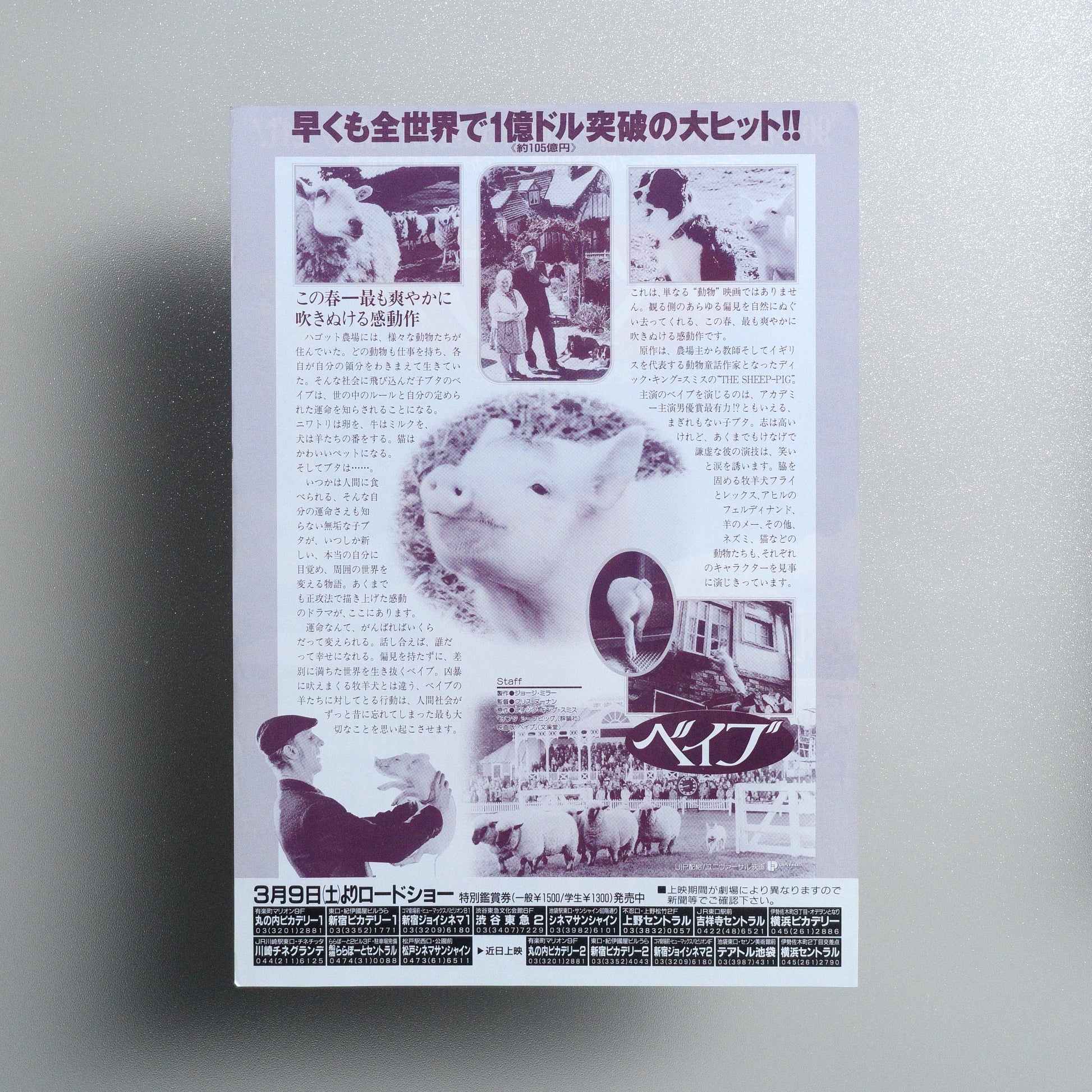 Babe B5 Flyer - reverse