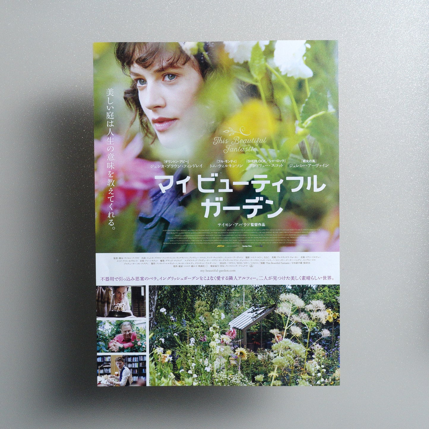 This Beautiful Fantastic Japanese B5 Flyer - front