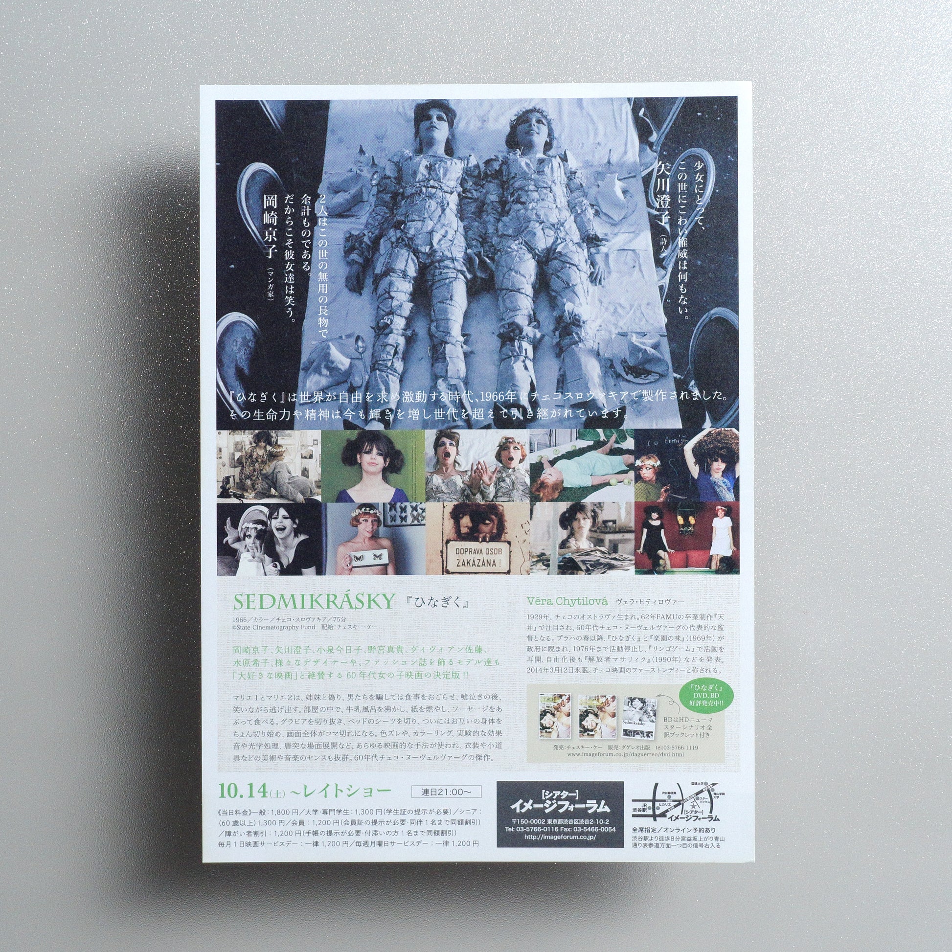 Design B - Daisies Japanese B5 Flyer - reverse