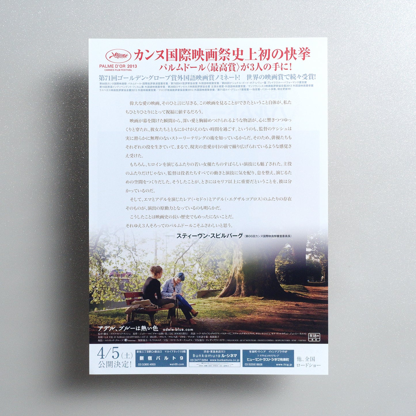 Blue Is the Warmest Colour B5 Flyer - reverse