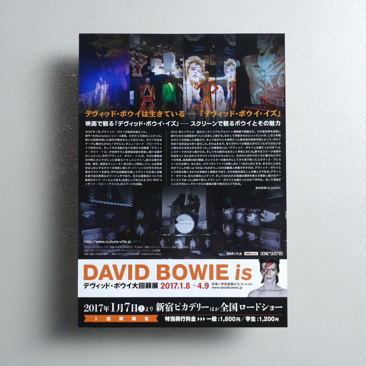 David Bowie Is B5 Flyer - Default - reverse