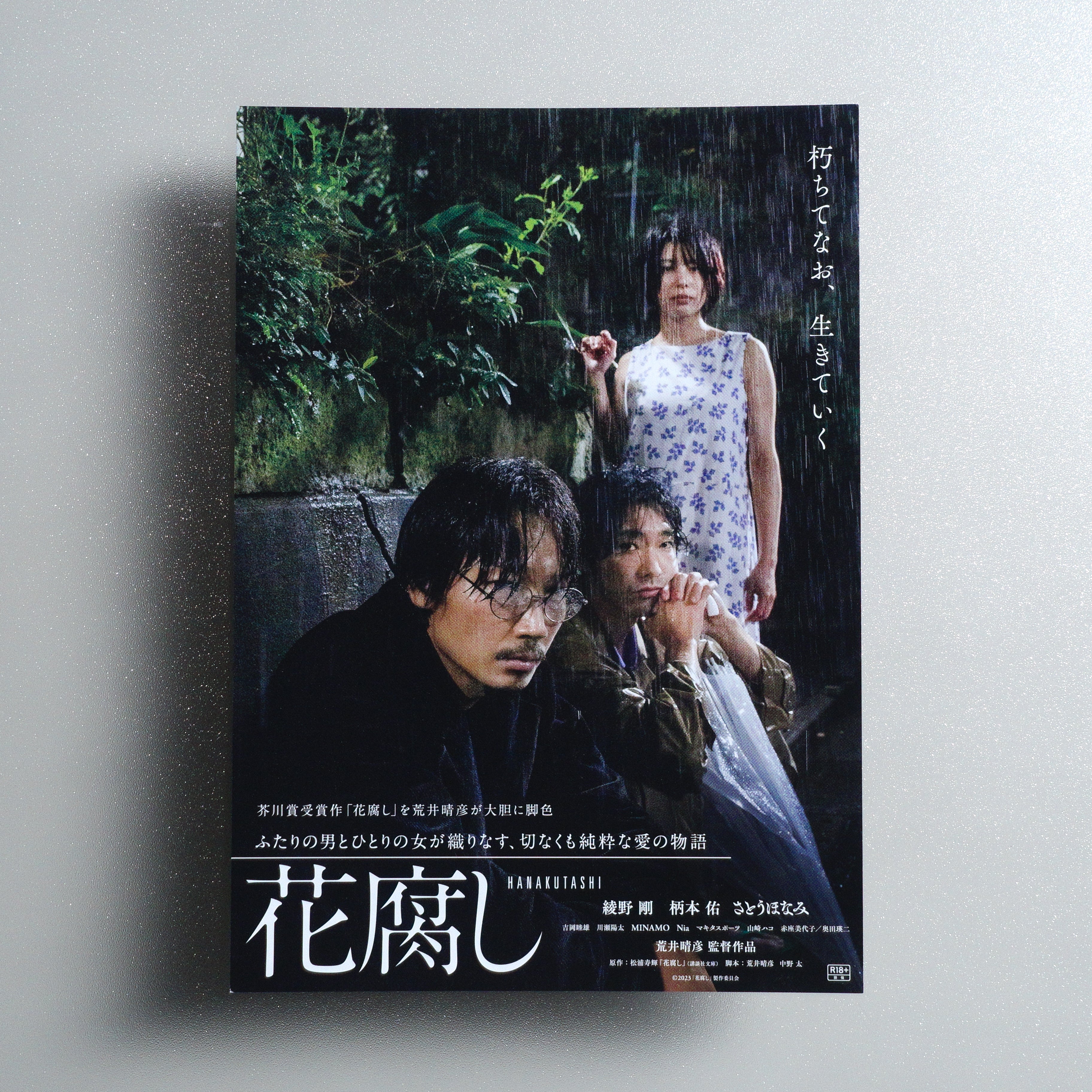 A Spoiling Rain Japanese B5 Movie Flyer | PosTerBooK