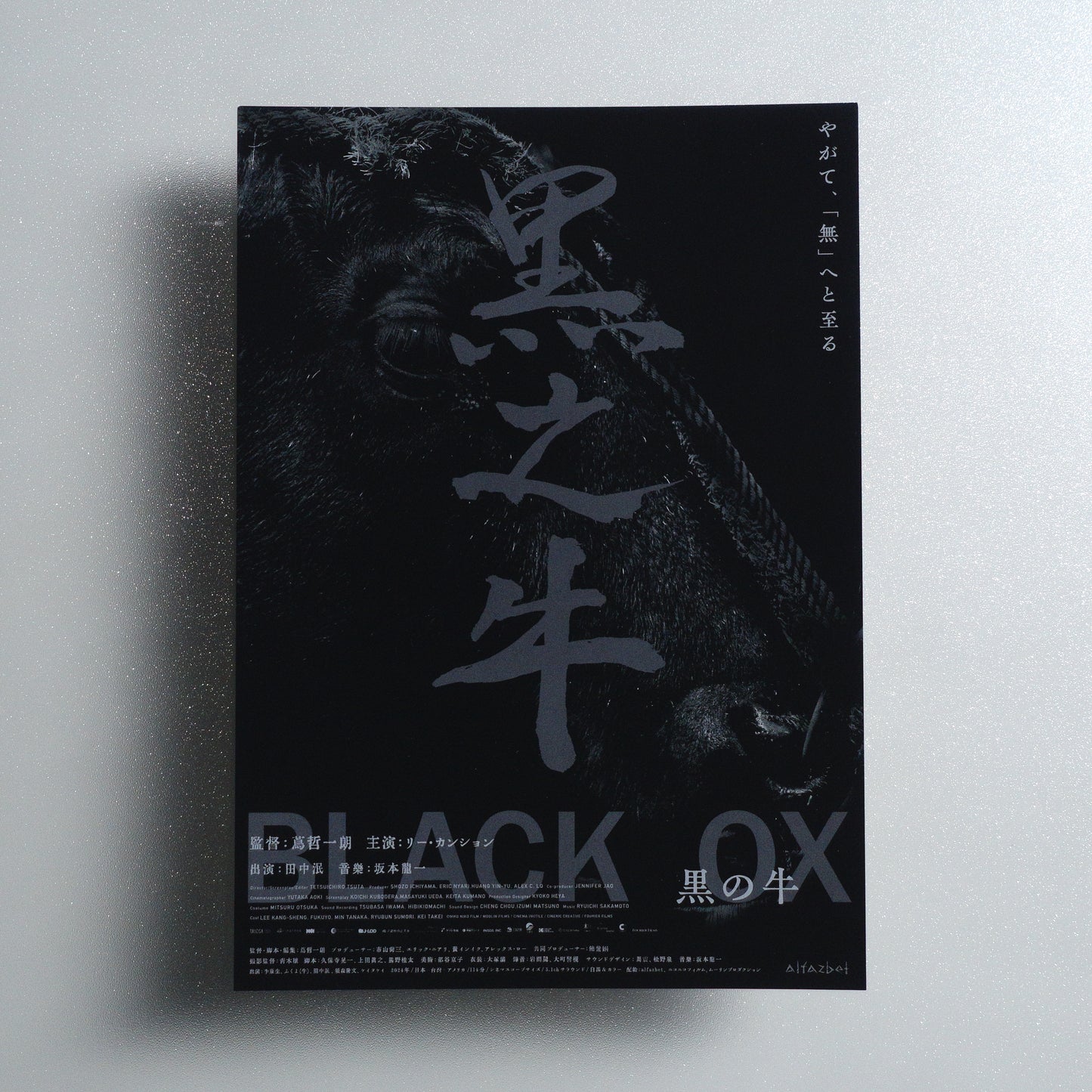 Black Ox B5 Flyer - Default - front