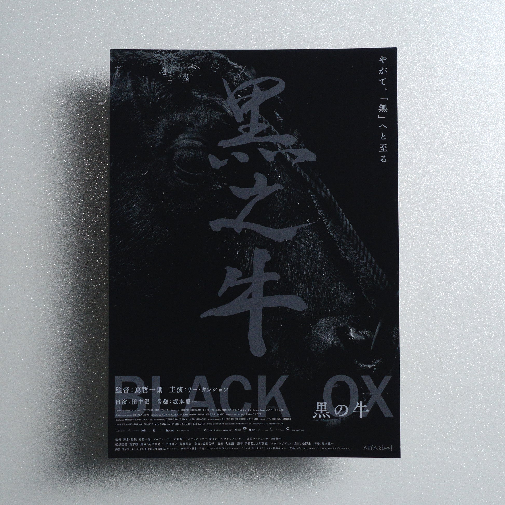 Black Ox B5 Flyer - Default - front