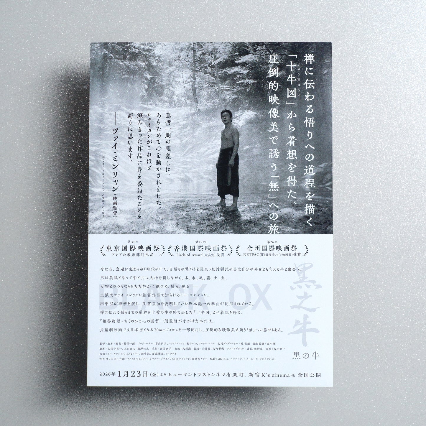 Black Ox B5 Flyer - Default - reverse