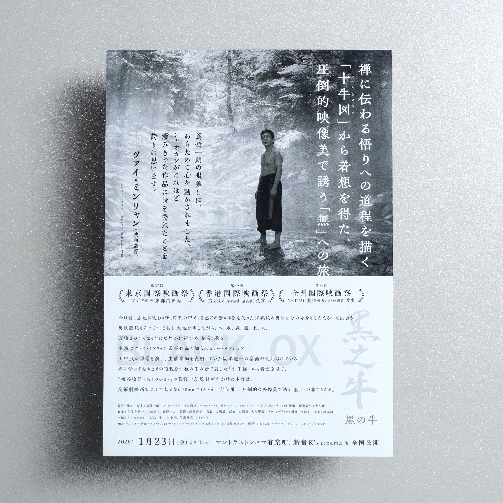 Black Ox B5 Flyer - Default - reverse
