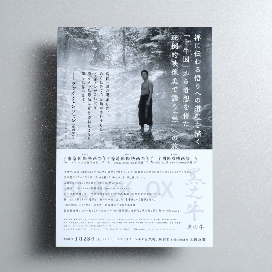 Black Ox B5 Flyer - Default - reverse