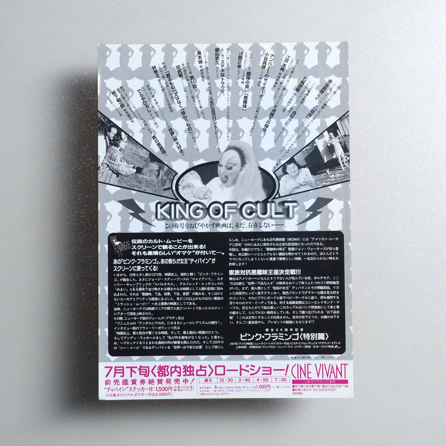Pink Flamingos Japanese B5 Flyer - reverse