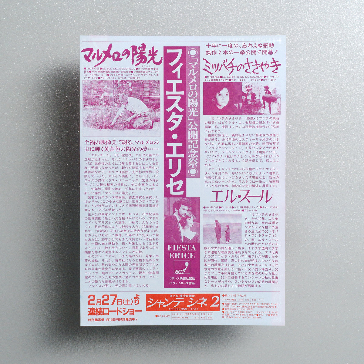 Fiesta Erice B5 Screening Flyer - reverse