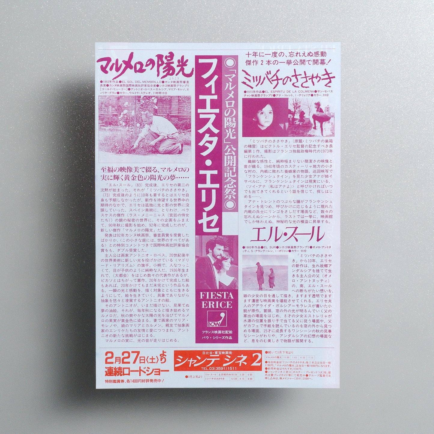 Fiesta Erice B5 Screening Flyer - reverse
