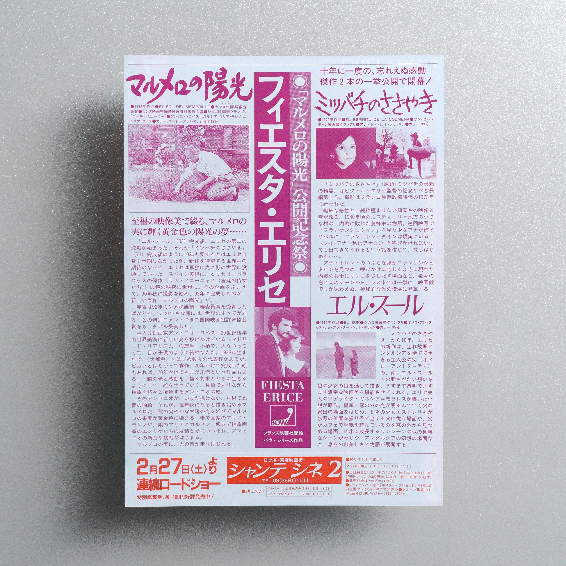 Fiesta Erice B5 Screening Flyer - reverse