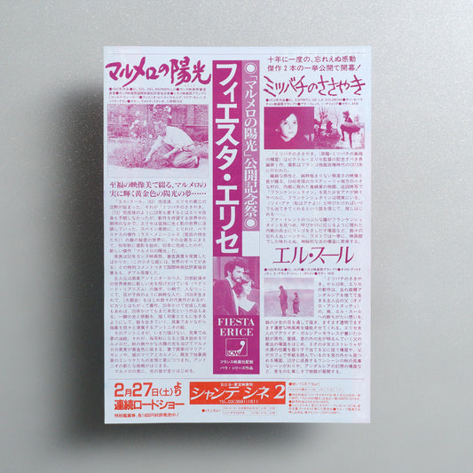 Fiesta Erice B5 Screening Flyer - reverse