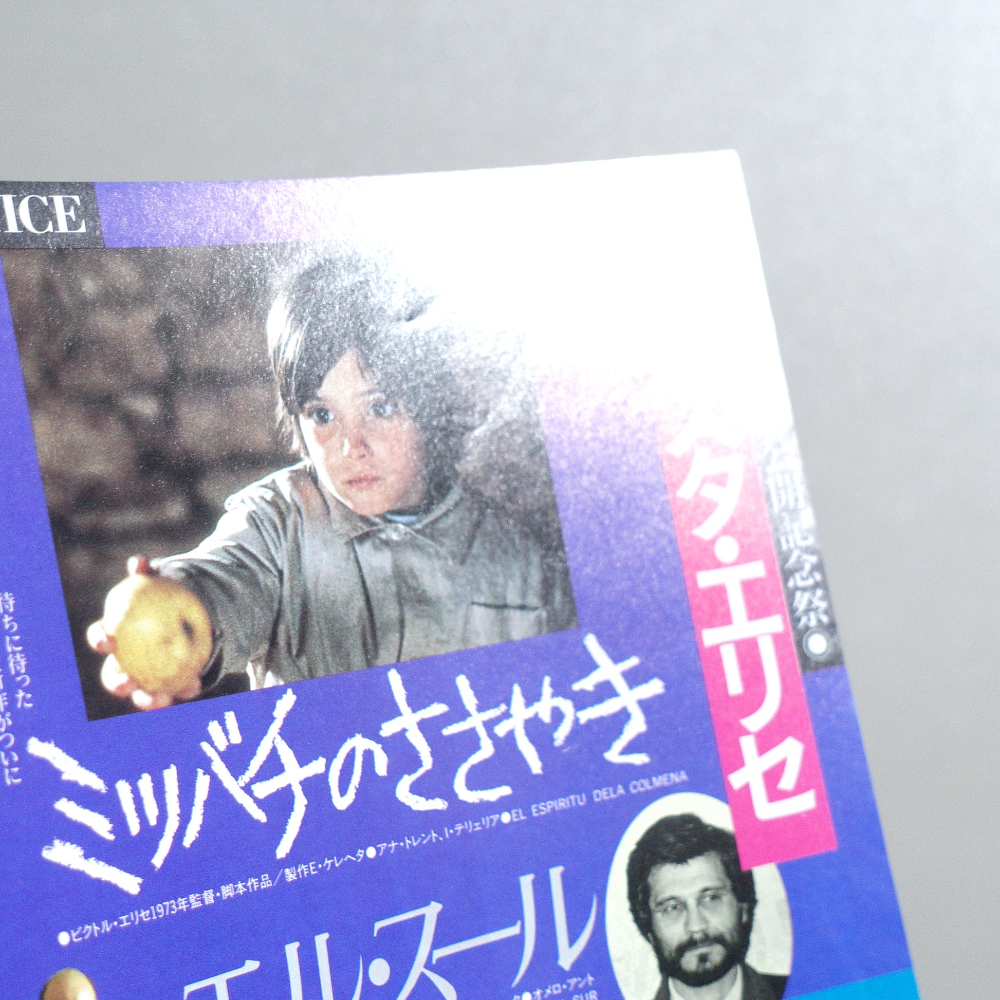 Fiesta Erice B5 Screening Flyer - front detail