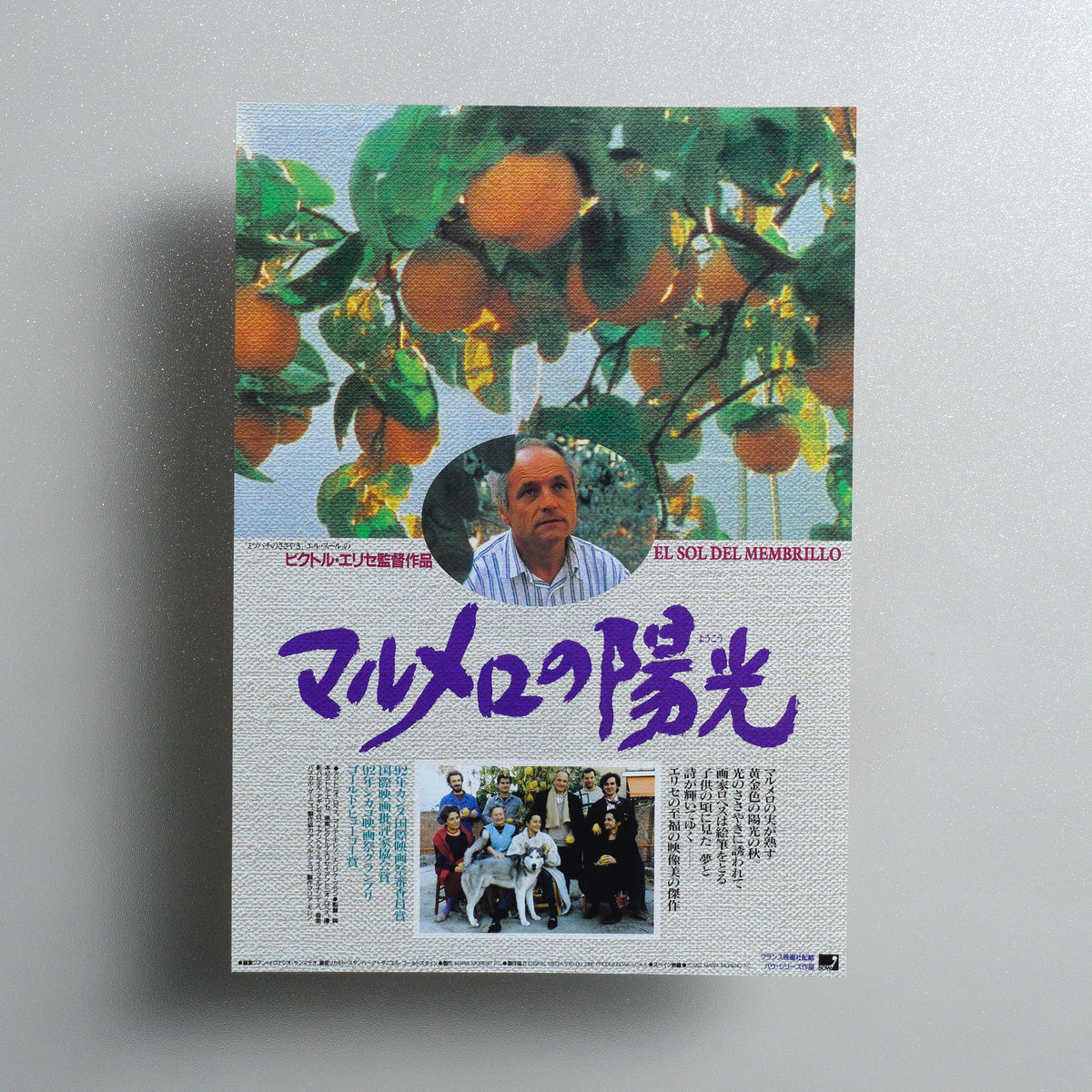 The Quince Tree Sun B5 Flyer - front