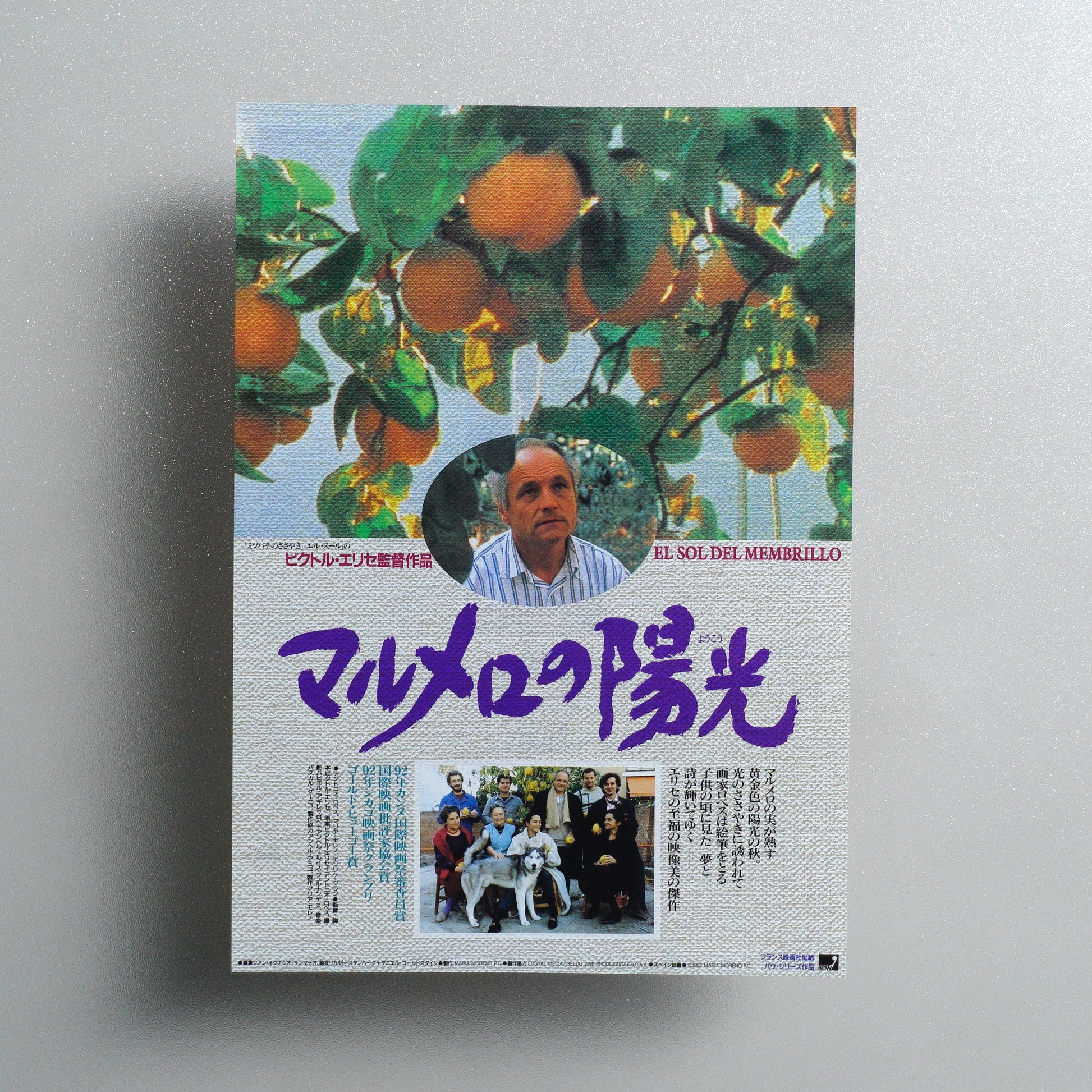 The Quince Tree Sun B5 Flyer - front