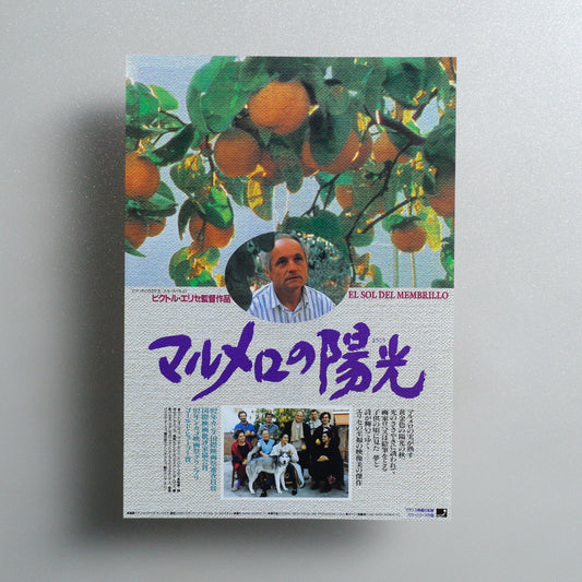 The Quince Tree Sun B5 Flyer - front