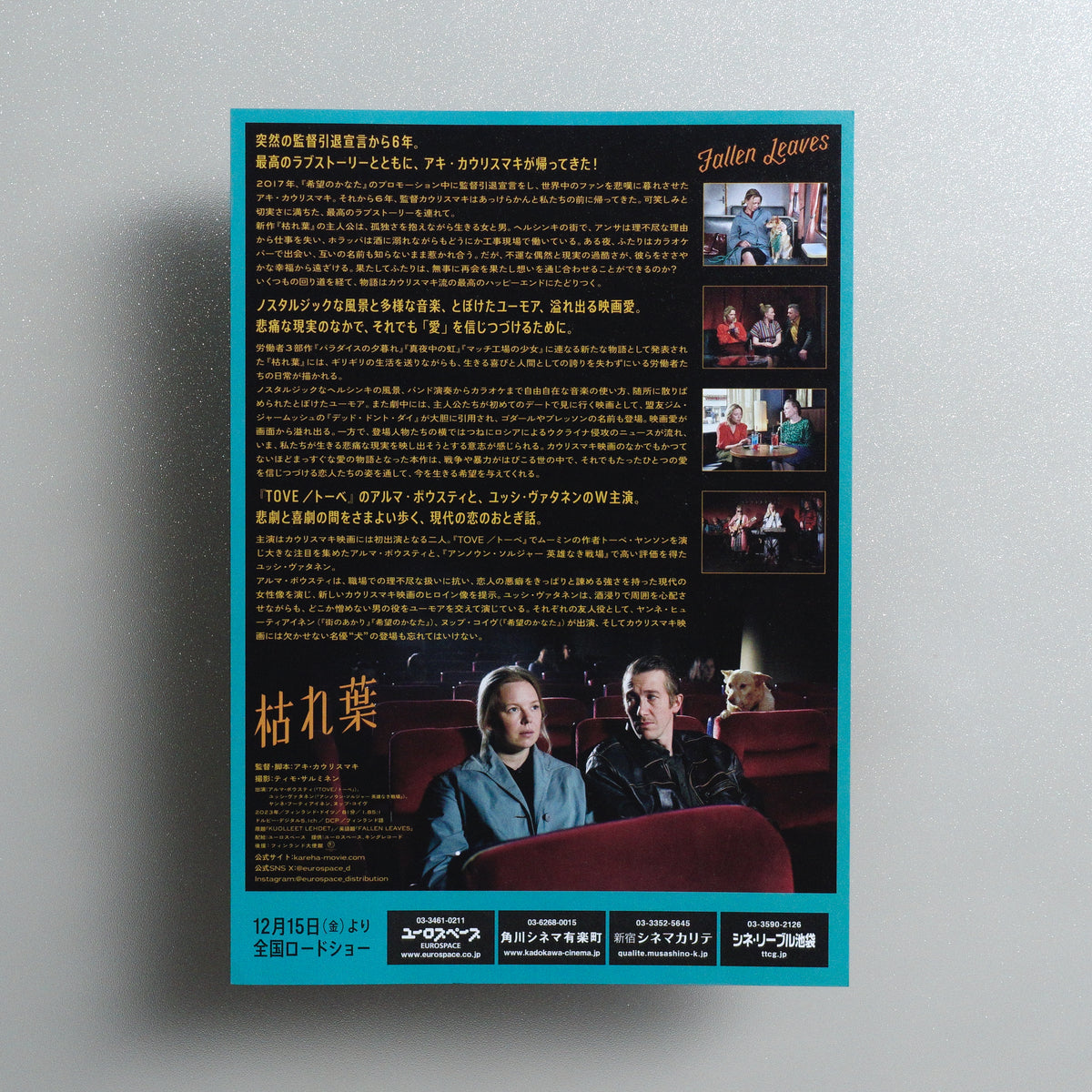 Fallen Leaves B5 Flyer - reverse