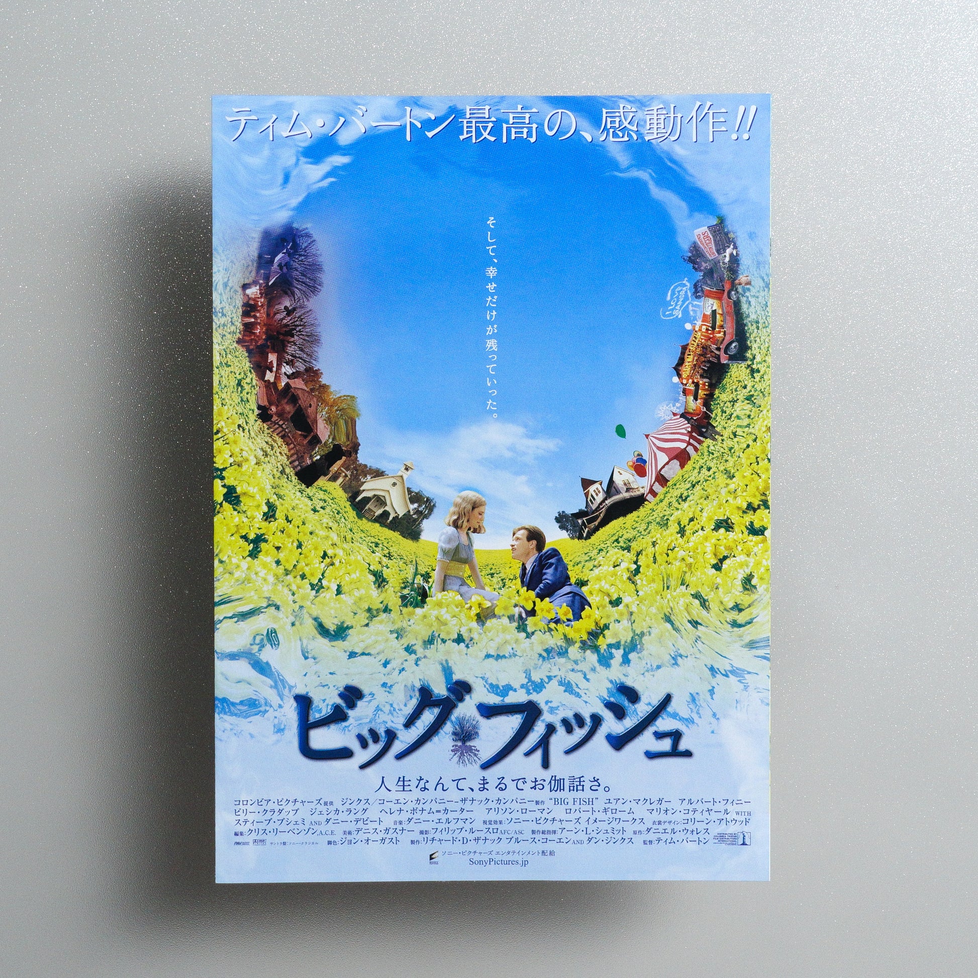 Big Fish B5 Foldout Flyer - cover panel
