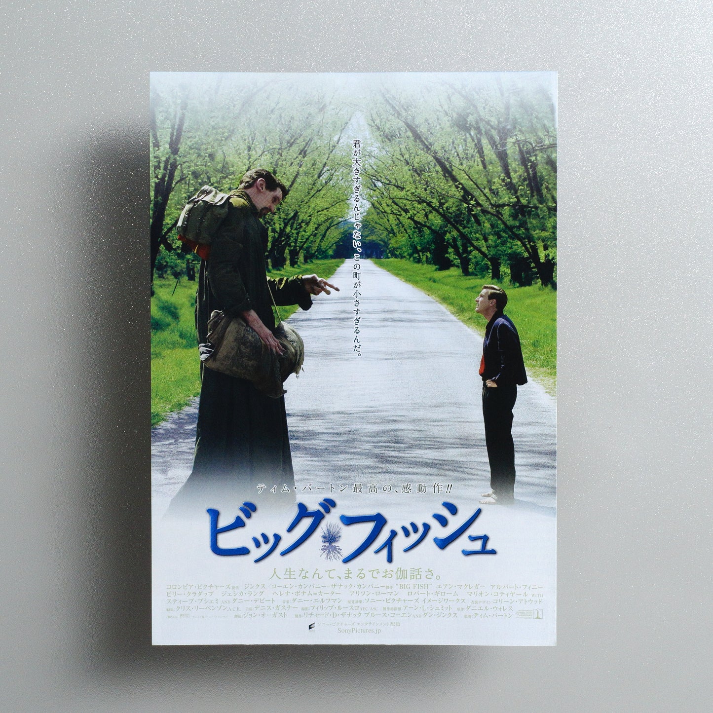 Big Fish B5 Foldout Flyer - alternate front panel