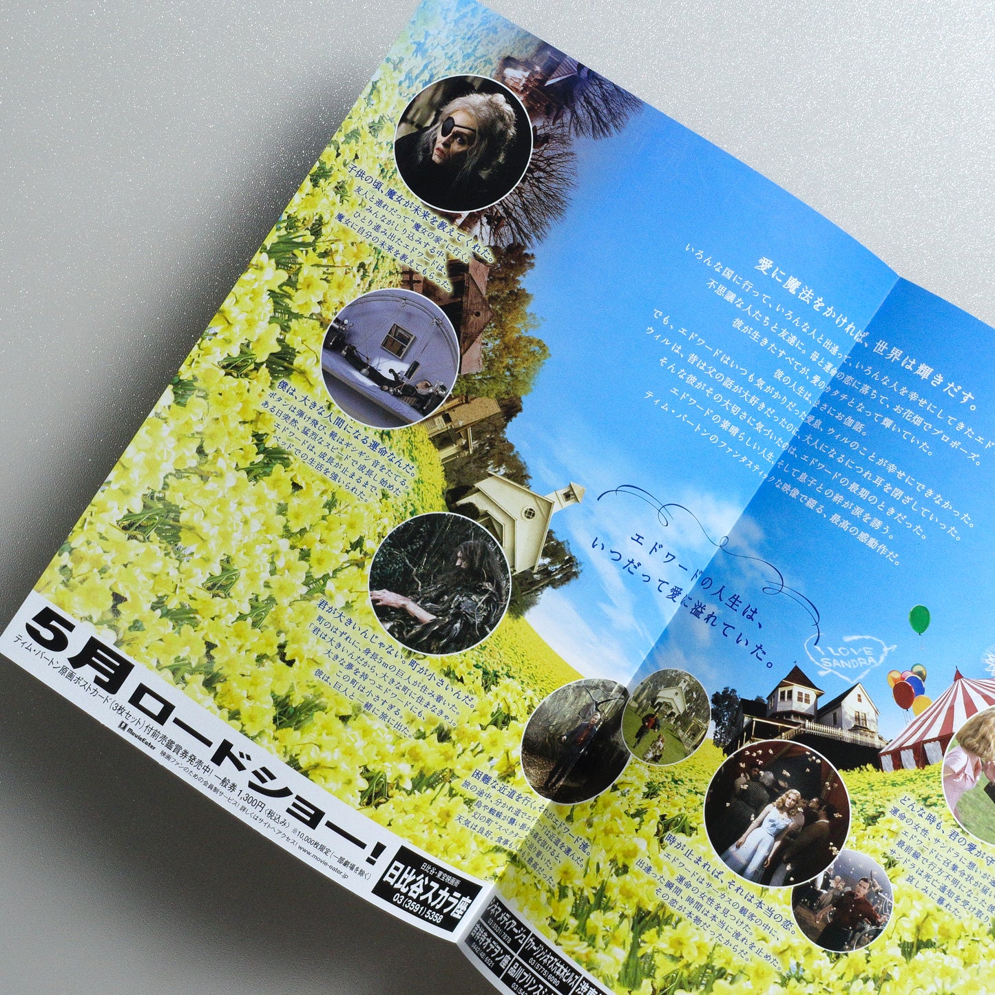 Big Fish B5 Foldout Flyer - foldout interior detail