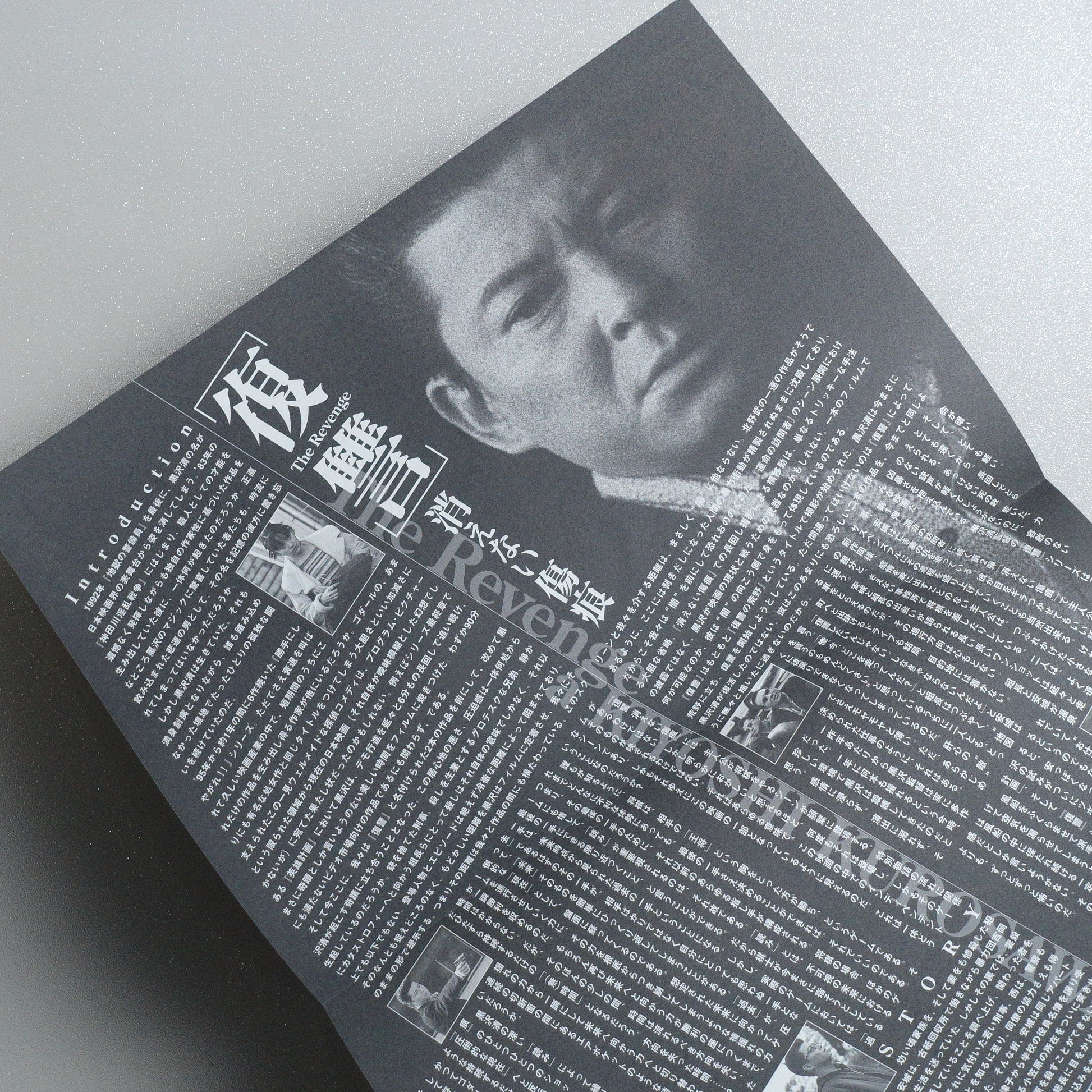 The Revenge: A Scar That Never Disappears B5 Flyer - inside text detail