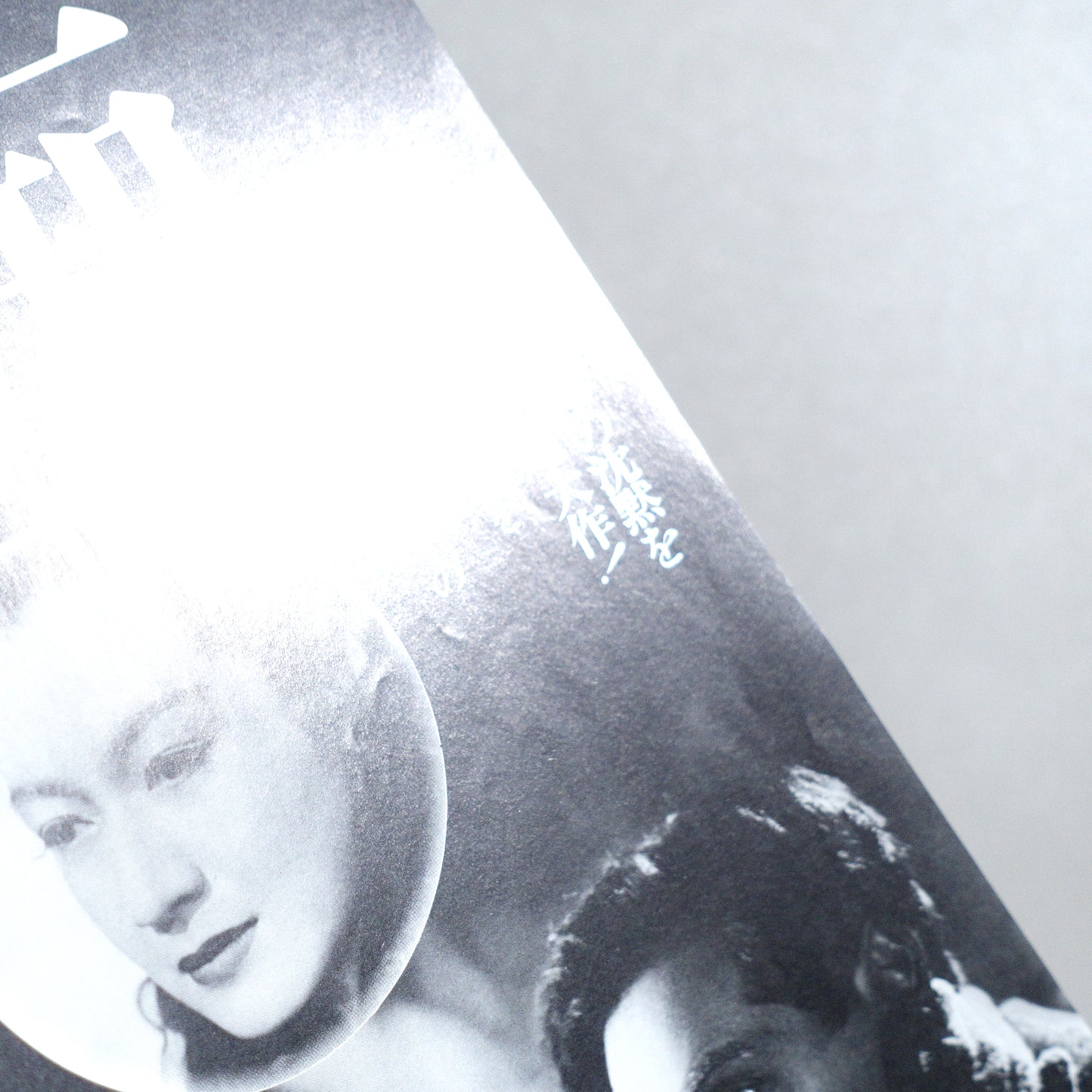 The Idiot B5 Flyer - front detail