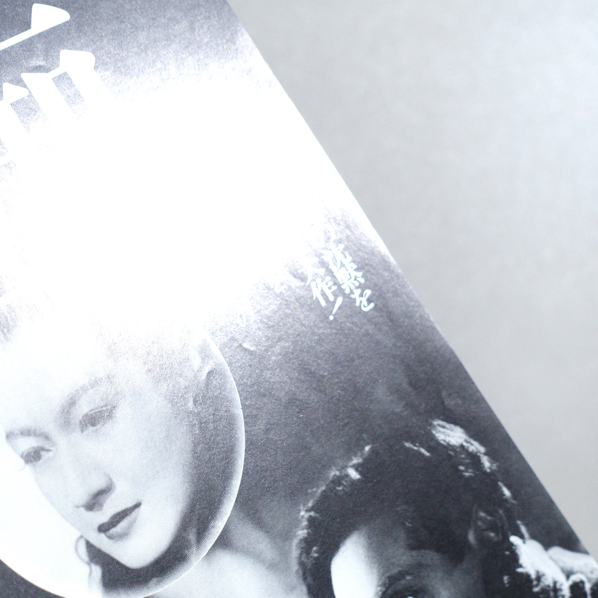 The Idiot B5 Flyer - front detail