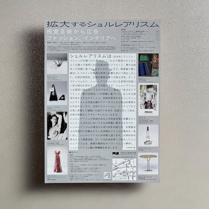 Surrealism Expanded: From Visual Art to Advertising, Fashion, and Interiors A4 Exhibition Flyer - reverse
